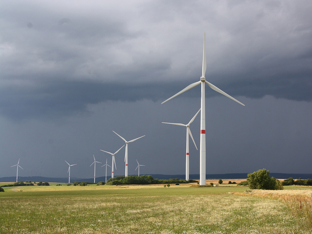 Nejméně 158 Orlů Mořských Zabily V Německu Větrné Turbíny Svět Myslivosti Myslivecký Portál 9205