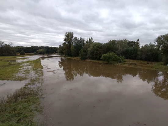 Myslivci mají po záplavách škody 1,24 mil. Kč, budou žádat MZe o podporu